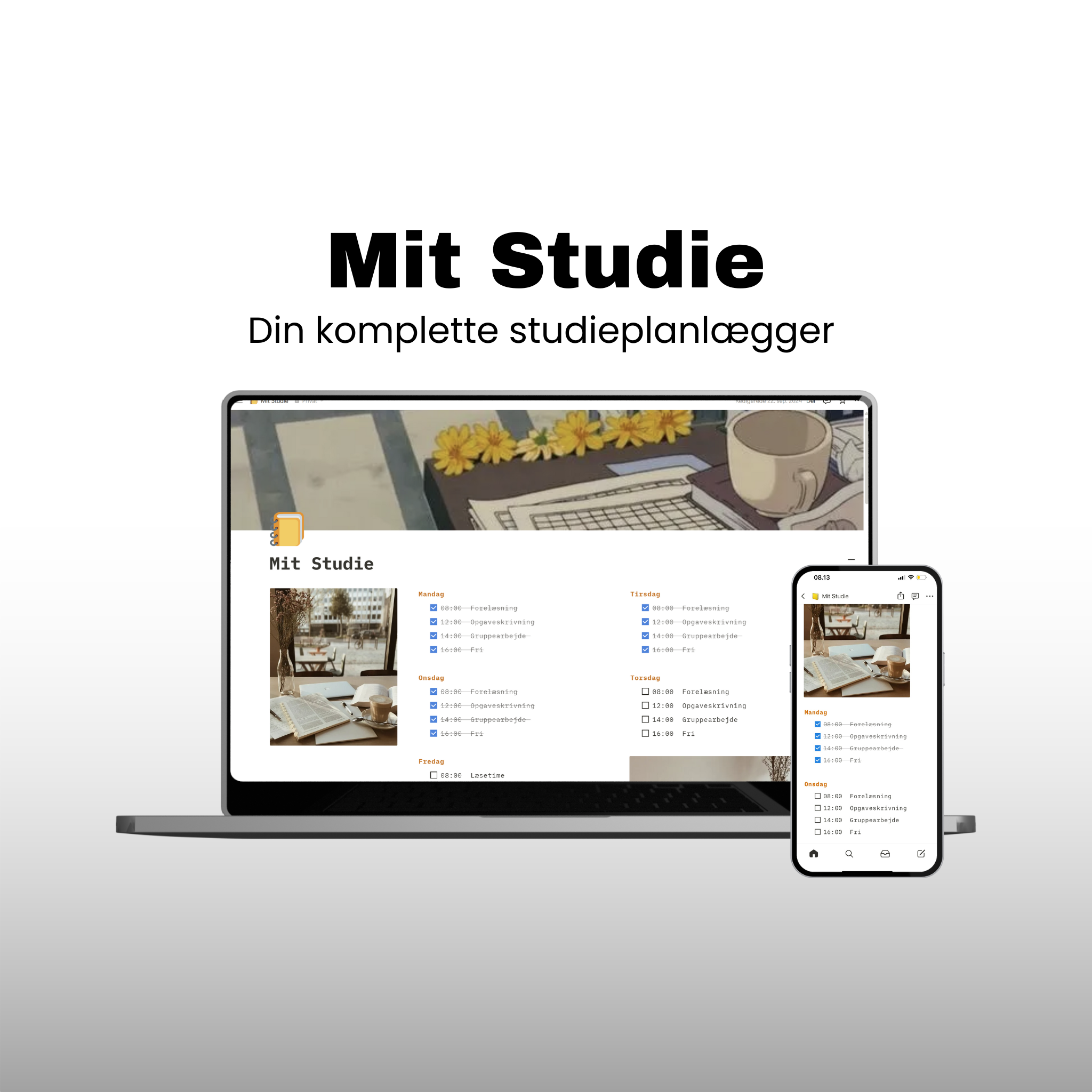 Mit Studie